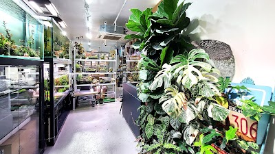 AQUA ART 水木林森 － 世界冠軍級水草造景專門店