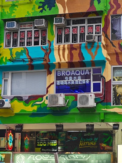 Broaqua布魯水族
